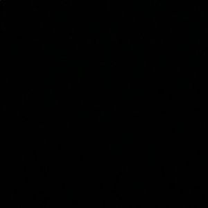 Meet your Posher, Bailey